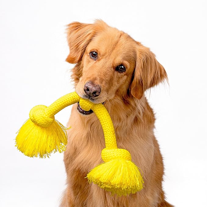 Playology Rope Toys for Dogs | Tug of War Dog Toy for Aggressive Chewers | Chicken Scented Dog Toys | Jumbo Rope Toy for Interactive Play