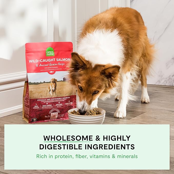 Open Farm, Ancient Grains Dry Dog Food, Protein-Rich & Nutrient Dense, 90% Animal Protein Mixed with Non-GMO Fruits, Veggies and Superfoods, Wild Caugh Salmon Recipe, 22lb Bag