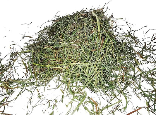 High Desert 2nd Cutting Timothy Grass Hay for Guinea Pigs, Rabbits, and More Small Animal Pets (16 lb)