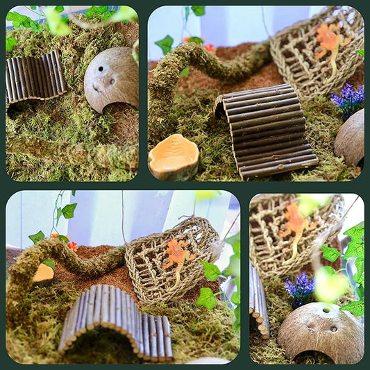 Hermit Crab Accessories, Hermit Crab Shells Natural Adjustable Climbing Toys Bendable Bridge, Plants for Reptiles & Amphibians Supplies (A-Group-4PCS)