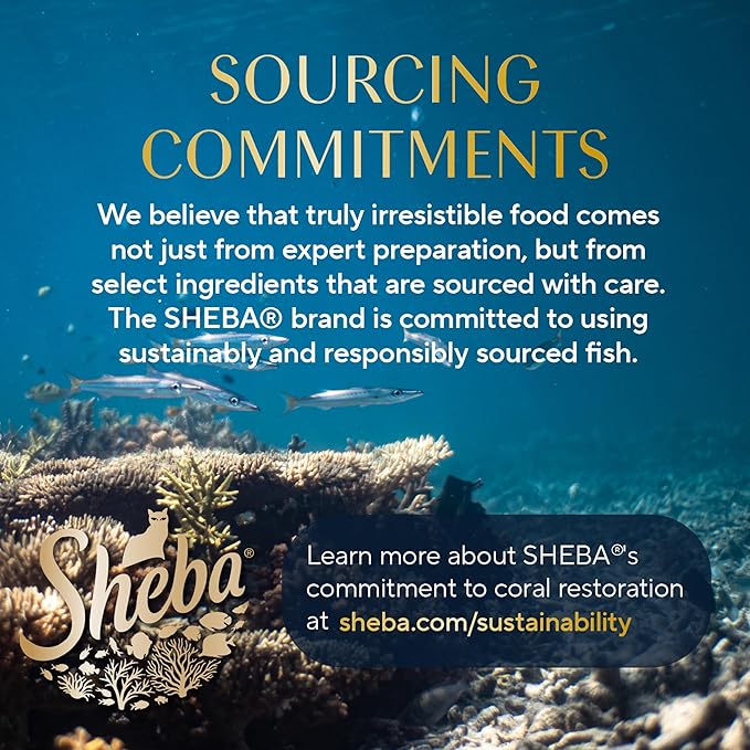 Sheba Perfect Portions Wet Cat Food Cuts in Gravy Variety Pack, Roasted Chicken Entree and with Sustainable Tuna, 2.6 oz. Twin-Pack Trays (12 Count, 24 Servings)