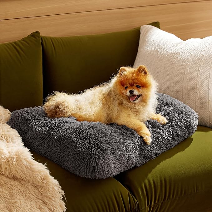 Bedsure Washable Small Dog Bed for Crate, Plush Calming Dog Crate Mat, Fluffy Pet Bed for Small Dogs, Plush Soft Comfort Sleeping Mat for Puppy, Anti-Slip Pet Kennel Pad, 24" x 18", Dark Grey