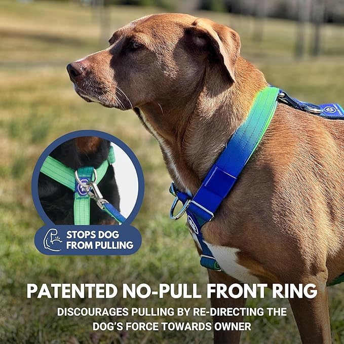 Spark Paws No Pull Dog Harness for Large Dogs, Heavy Duty Dog Harness for Big Strong Breeds, Adjustable, Y Shaped Padded Halter Design with Front Clip - Lime Wave - S