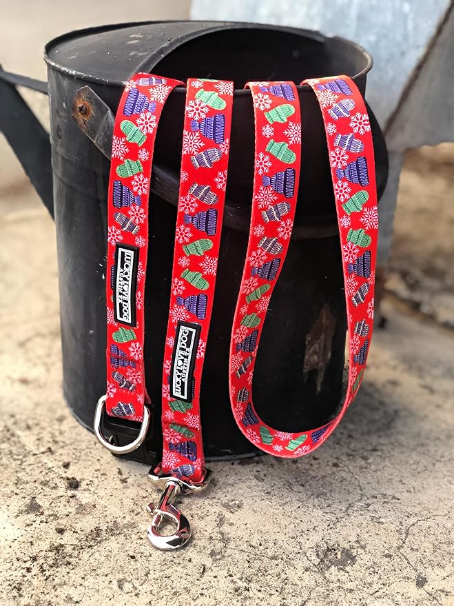 Lucky Love Dog - Adjustable Dog Collar with Easy Click Buckle for Small to Large Ones, Durable, & Comfortable for Male & Female Dogs, Pet Collar for Puppies & Adult Dogs - Chilly, Small