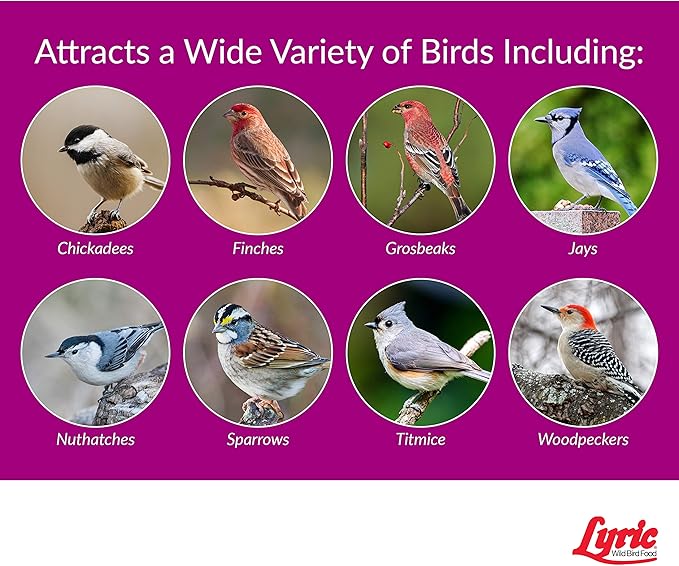 Lyric Sunflower Kernels Wild Bird Seed No Waste Bird Food Attracts Finches & More 5 lb. bag