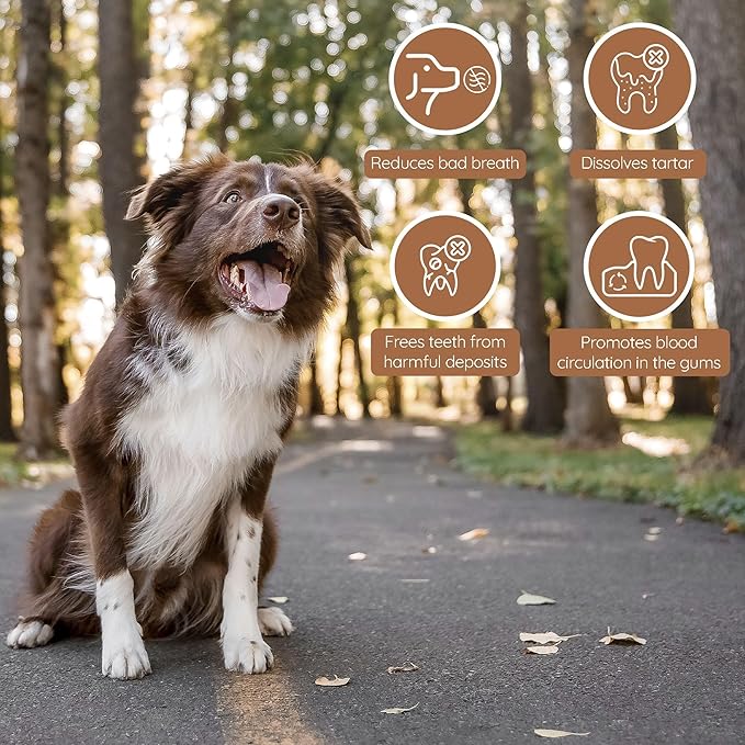 Wildfang® Olive Wood Chewing Sticks for Dogs, Medium - Tough Chew Toys for Aggressive Chewers, Puppy Chew Toys for Teething, Training for Chewing Muscles, Olive Wood Stick for Dog (33-55lbs)
