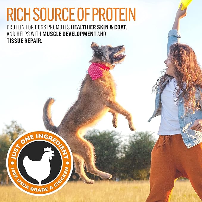 EBPP Chicken Jerky Dog Treats Made in USA - 100% Natural Jerky Treats Made with Real Chicken - Grilled Chicken Strips for Medium Dogs, Large and Small Dogs - 8oz Bag