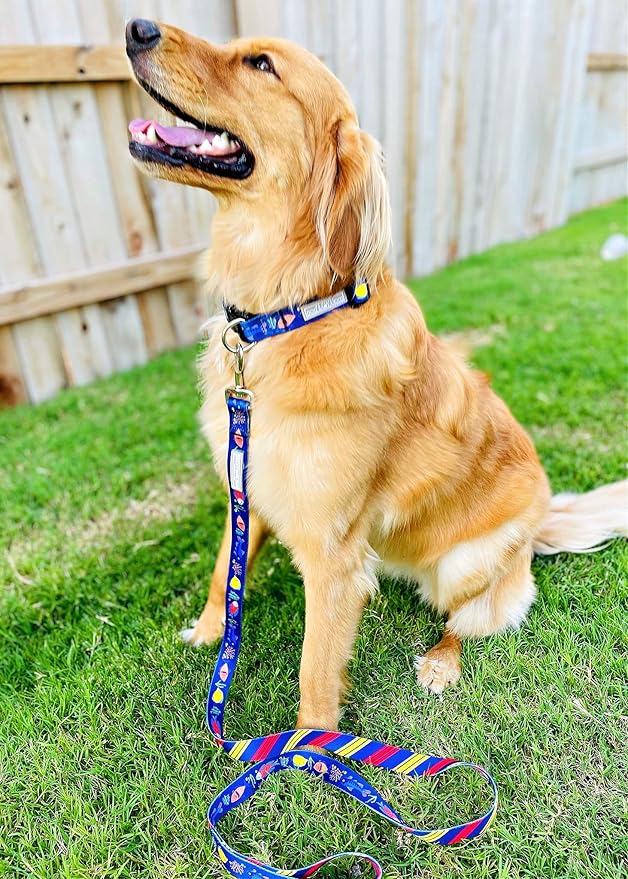 Lucky Love Dog - Adjustable Dog Collar with Easy Click Buckle for Small to Large Ones, Durable, & Comfortable for Male & Female Dogs, Pet Collar for Puppies & Adult Dogs - Mackey, XS