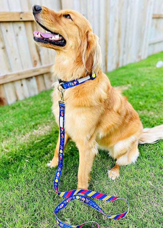 Lucky Love Dog - Adjustable Dog Collar with Easy Click Buckle for Small to Large Ones, Durable, & Comfortable for Male & Female Dogs, Pet Collar for Puppies & Adult Dogs - Mackey, Medium