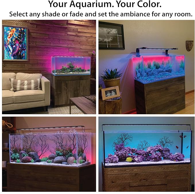 ColorCast Smart LED Aquarium Background Light Kit with Frosted Background Film | Smartphone and Voice Control | 24/7 Timers | Alexa and Google Home | for Aquariums, Terrariums and Vivariums | 18"-32"