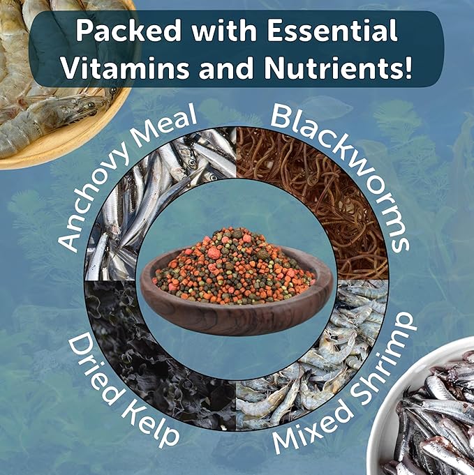 Aquatic Foods Inc. 12-Type Floating & Sinking California Blackworm & Coloring Pellets of 1mm, 2mm, 3mm Size for All Tropical Fish, Koi and Pond Fish, 4-Type Wafer Mix Included...10oz Canister