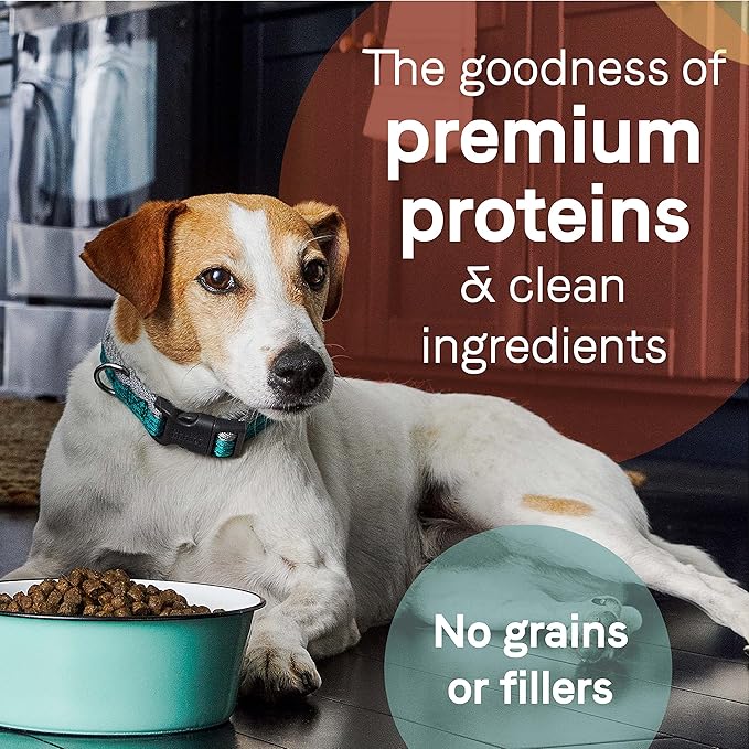 Canidae Pure Limited Ingredient Premium Adult Dry Dog Food, Real Bison, Lentil & Carrot Recipe, 10 lbs, Grain Free