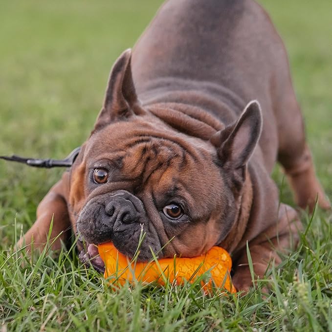 Chew King Bacon Flavor Rubber Bone