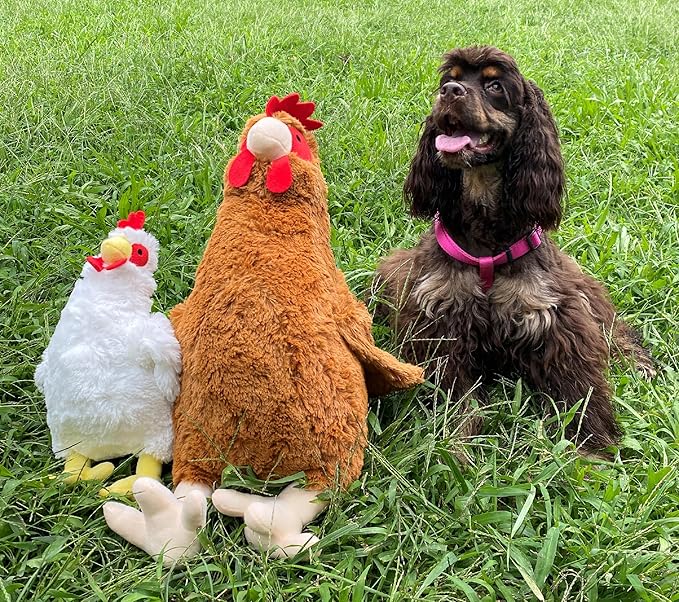 HDP Rooster Size:24 Inch Color:White Rooster