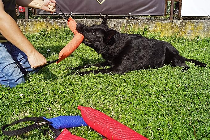 Dingo Gear French Linen tug Toy for Dog, Bumper Toy for Training, Agility, tug of war, bite Pillow for Strong Dog, 2handles 18in Blue S00067