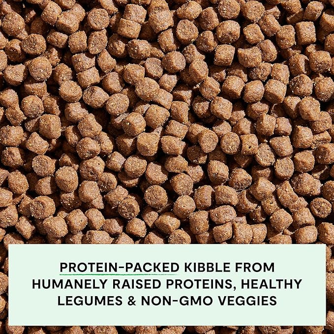 Open Farm, Grain-Free Dry Dog Food, Complete & Balanced Kibble, Sustainably & Ethically Sourced Ingredients, Non-GMO Veggies & Superfoods to Support Overall Health, Grass-Fed Beef Recipe, 11lb Bag