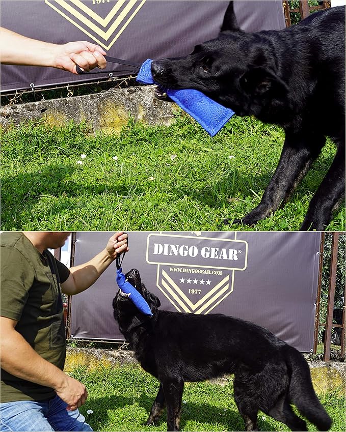 Dingo Gear Nylcot Bite Tug for Dog Training K9 IGP & Fun, 1 Handle, Orange 28 x 7 cm